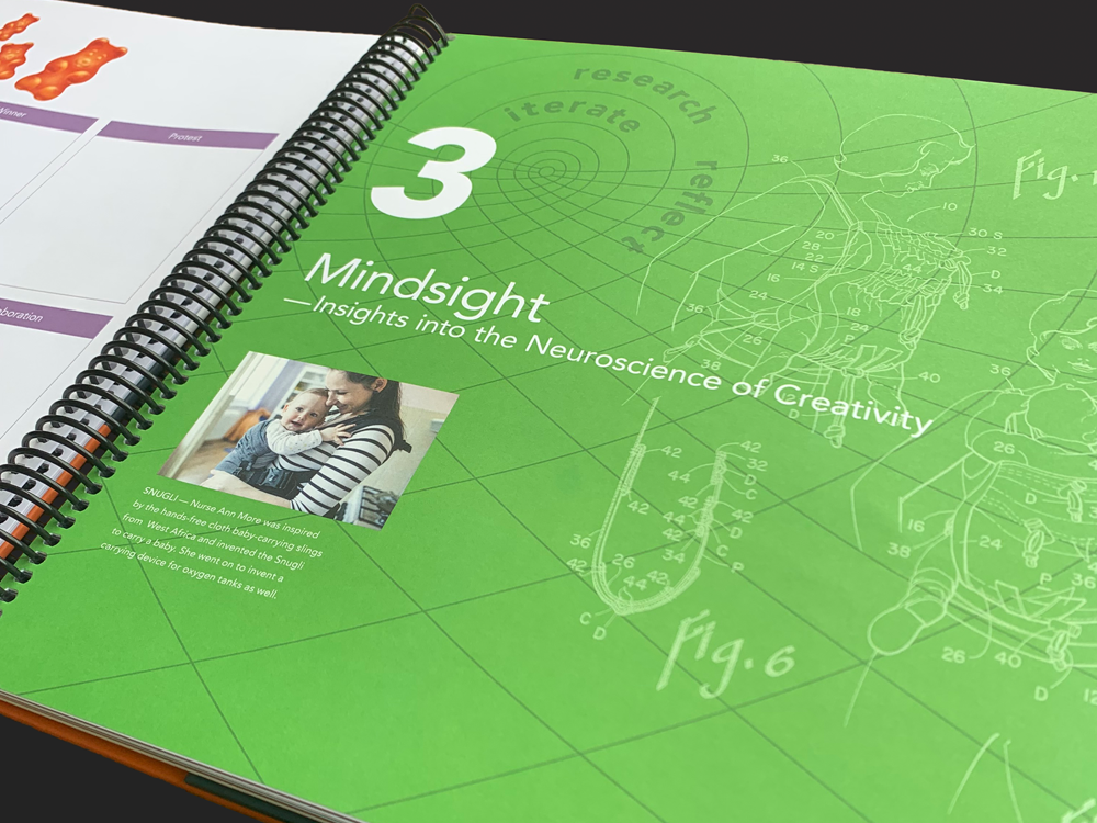 D!Lab Guide Mindsight